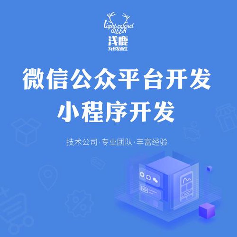 解读定制系统在企业信息化中的独特魅力